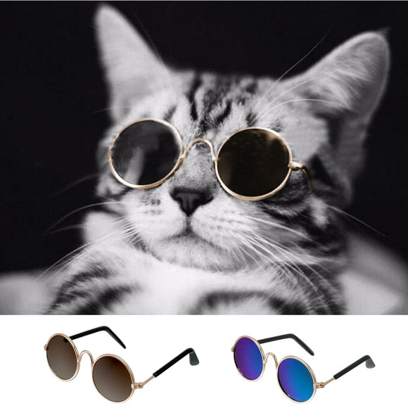 Fashion Small Pet Sunglasses
