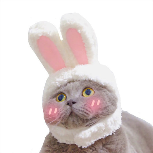 Funny Pet Dog Cat Cap Costume