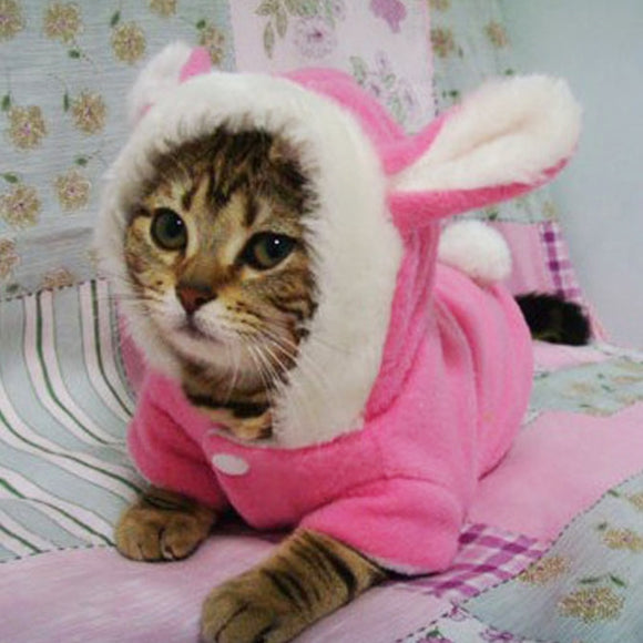 Cat Clothes Mascotas Costume