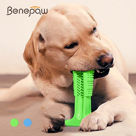 Benepaw Durable Rubber Dog